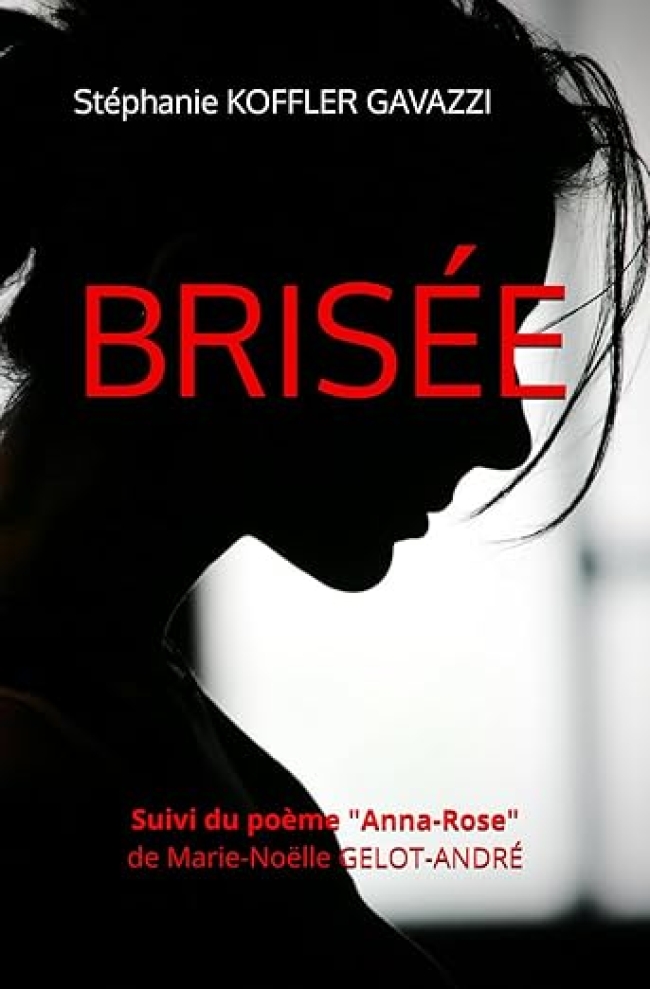 Brisée (Mon premier roman)