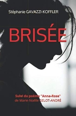 Brisée (Mon premier roman)