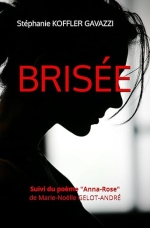 Brisée (Mon premier roman)